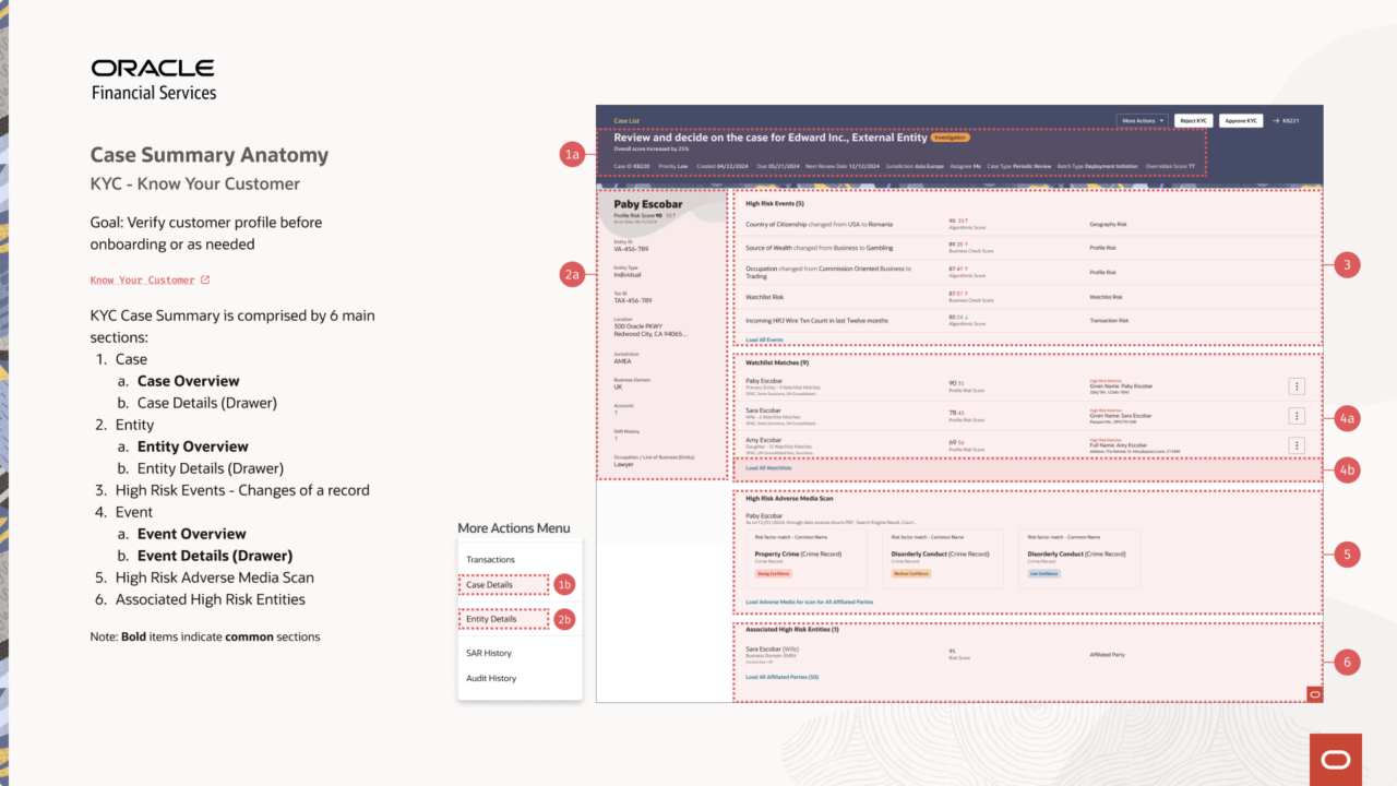 Case Summary Anatomy audit for KYC — Know Your Customer, with annotated sections